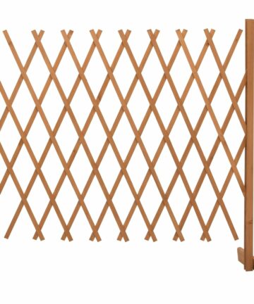 Garten-Rankzaun Grau 120x60 cm Massivholz Tanne