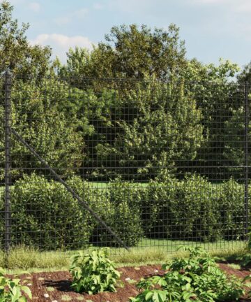 Maschendrahtzaun Anthrazit 1,1x10 m Verzinkter Stahl