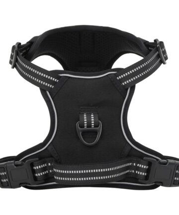Hundegeschirr mit Leine & Halsband Verstellbar Schwarz XL