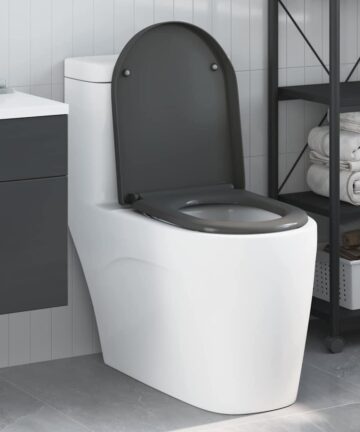 Schnellverschluss Toilettensitz mit sanfter Schließung Duroplast Anthrazit