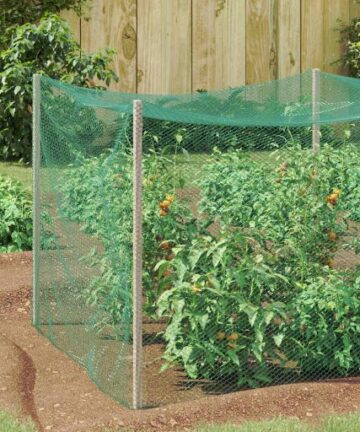 Vogelschutznetz Grün 2 x 5 m HDPE